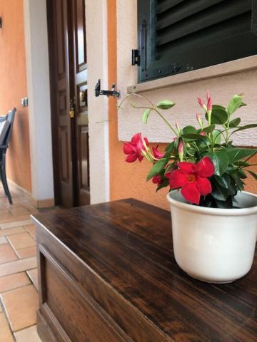 Appartement Il Giardino Delle Rose à Spello Extérieur photo