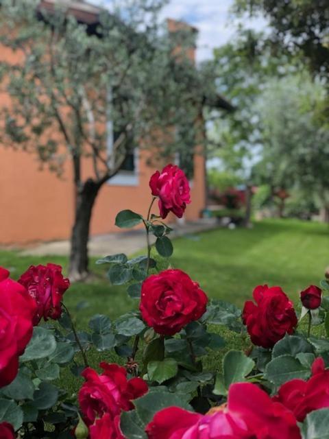 Appartement Il Giardino Delle Rose à Spello Extérieur photo